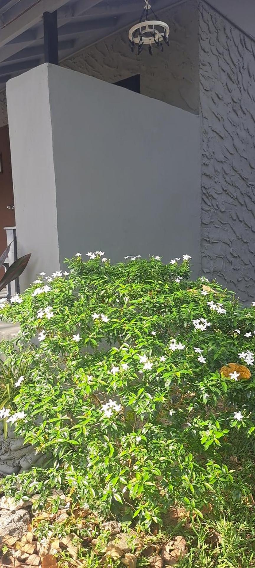Siam Flora Resort Ko Lanta Εξωτερικό φωτογραφία
