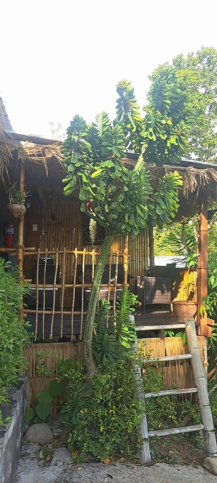 Siam Flora Resort Ko Lanta Δωμάτιο φωτογραφία